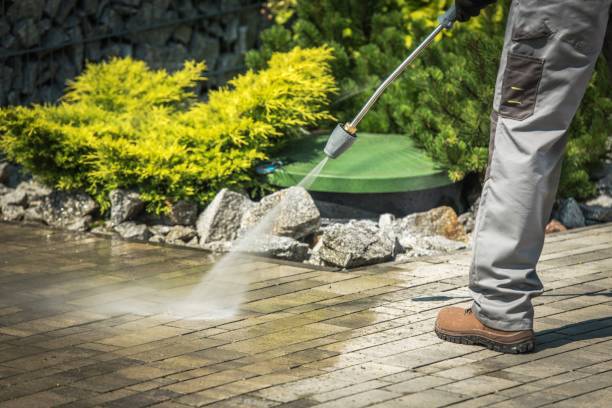 Boat and Dock Cleaning in Northlakes, NC